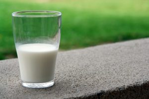 Arthur est allergique au lait. L'idée de créer un plat cuisiné sans lactose germe....