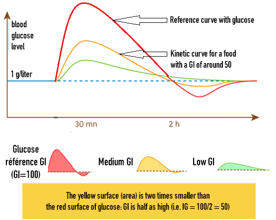 The consequences of the glycemic index of a sugar (GI) on the blood