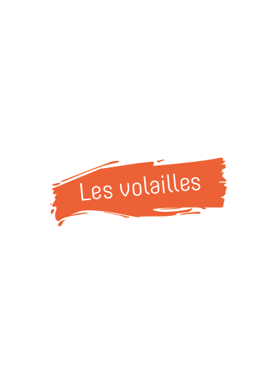 Plats cuisinés en bocaux à la volaille sans gluten et sans lactose