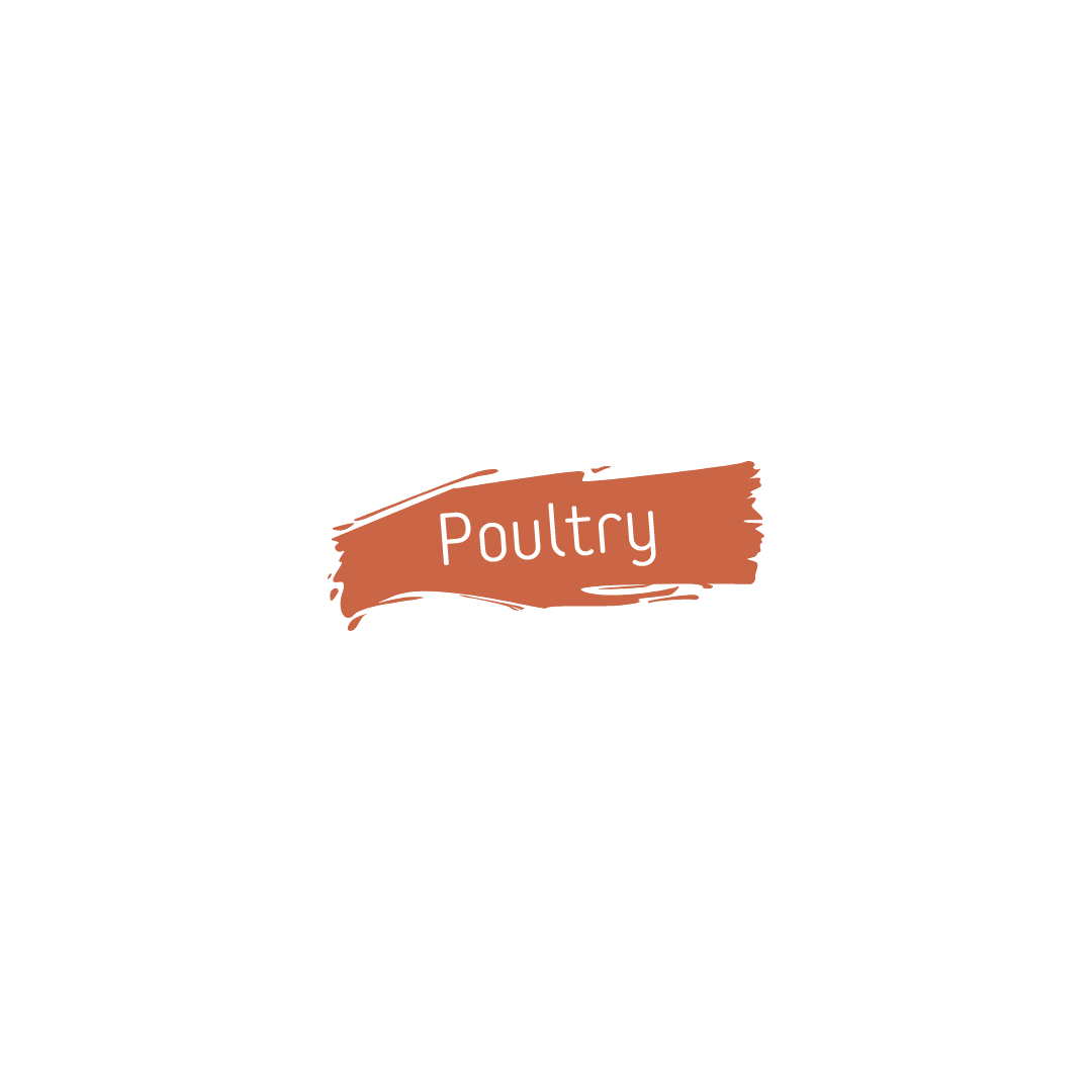 Poultry dishes