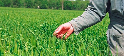 Cultivate : a philosophical approach ?